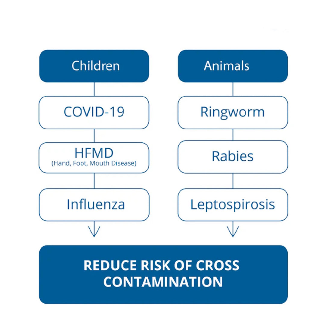 JOYLEE Hand Sanitizer Disinfectant Ethanol 300ml