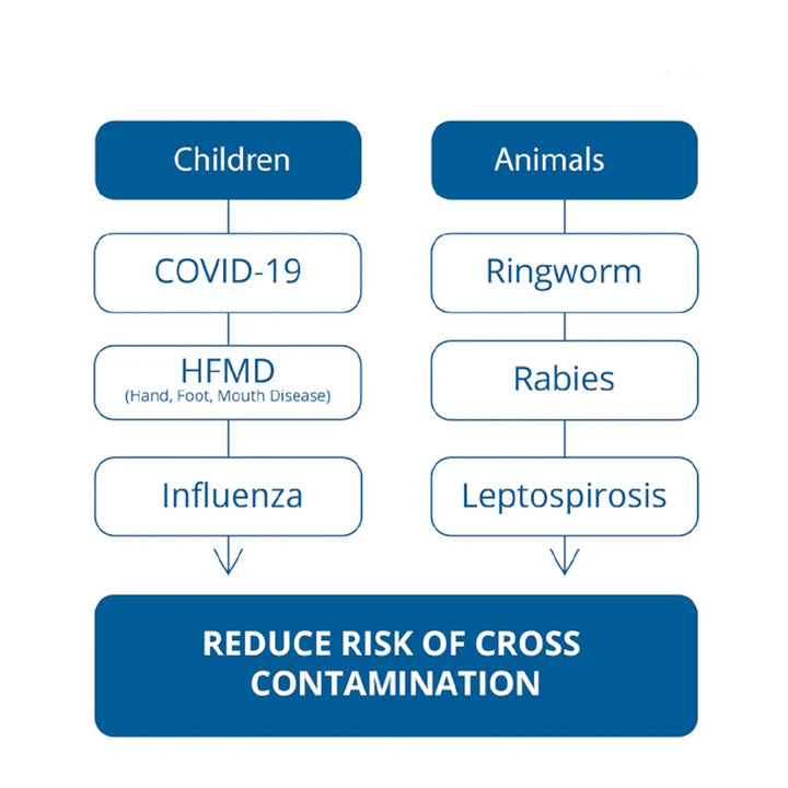 JOYLEE Hand Sanitizer Disinfectant Ethanol 300ml