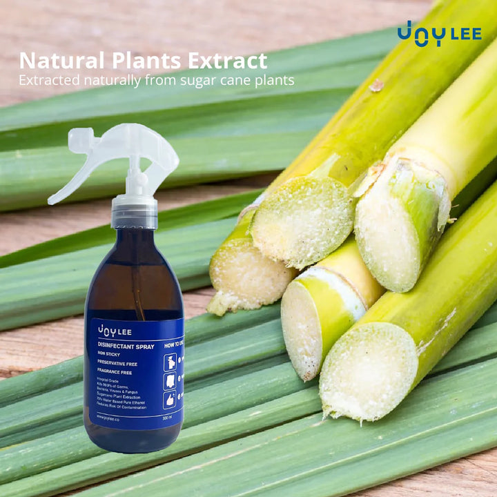 JOYLEE Hand Sanitizer Disinfectant Ethanol 300ml