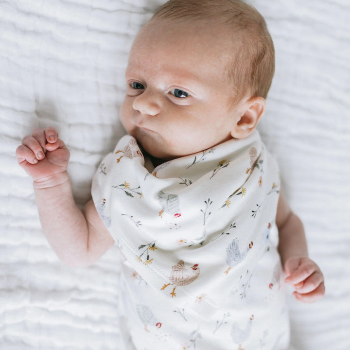 Kays + Kins Bandana Bib - Spring Farm