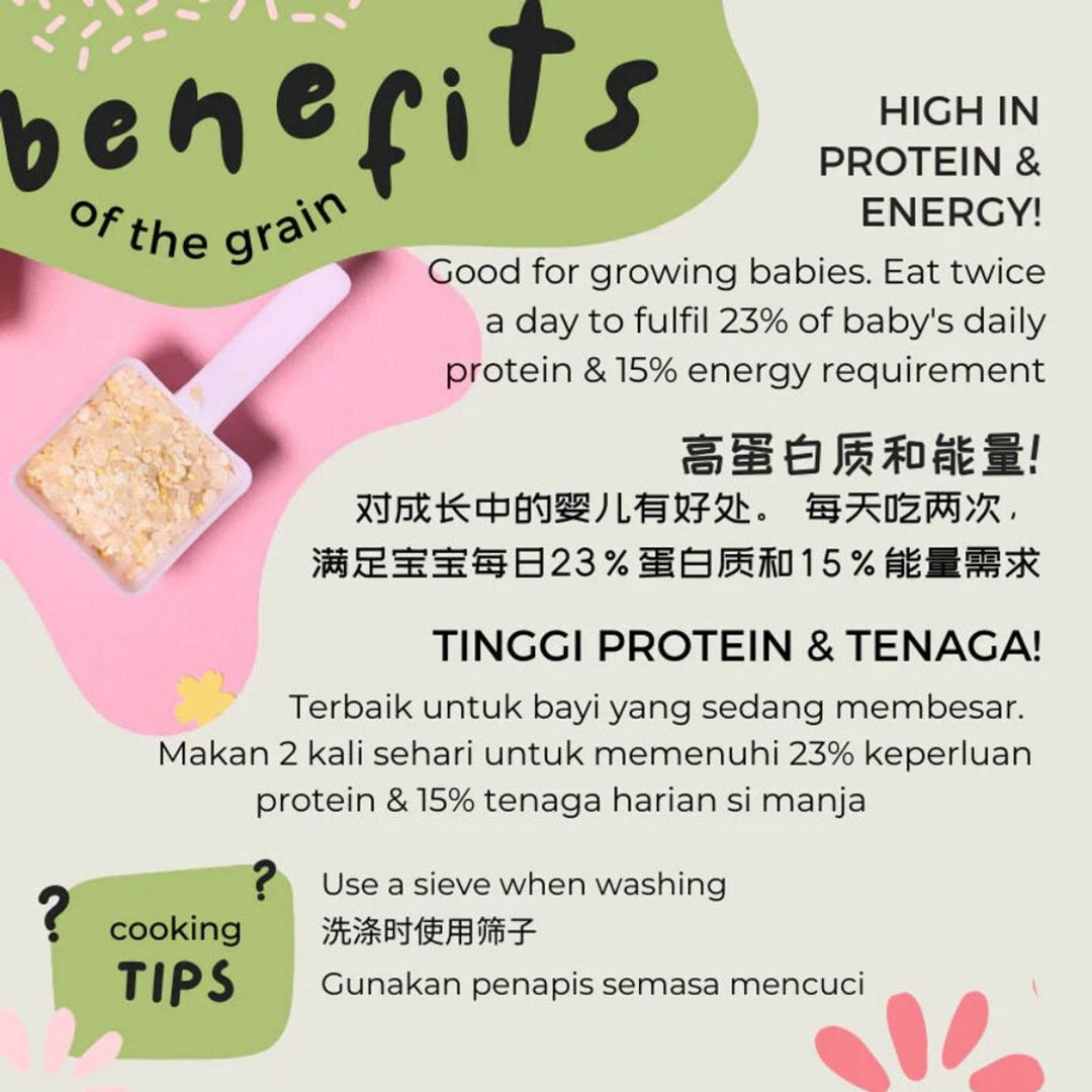 Gnubkins Let's Chew- Basic 10m