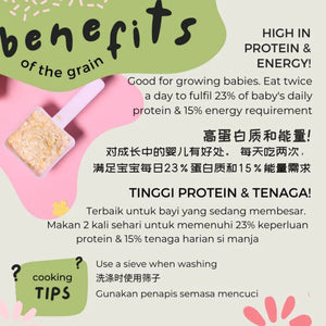 Gnubkins Let's Chew- Basic 10m