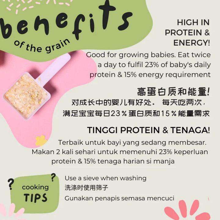 Gnubkins Let's Chew- Basic 10m