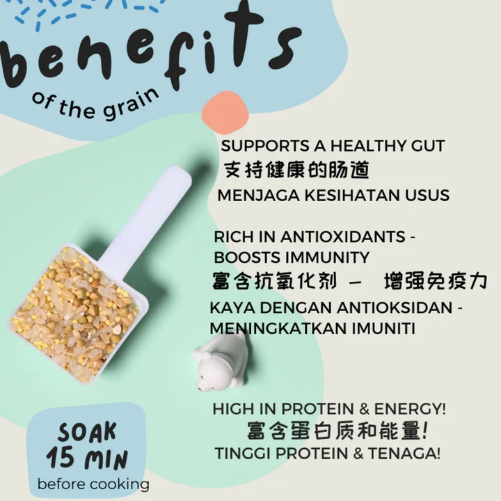 Gnubkins Let's Nourish (from 15 months)