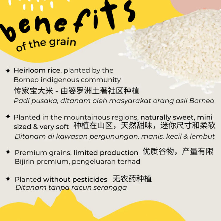 Gnubkins Fresh Start 6m (Premium)