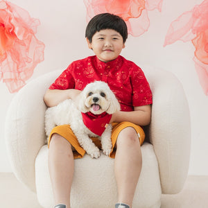 Lion Dance Series - Boys Shirt in Red Festive Lion Print