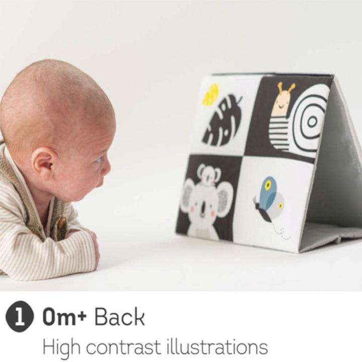 Taf Toys Tummy Time Mirror Book