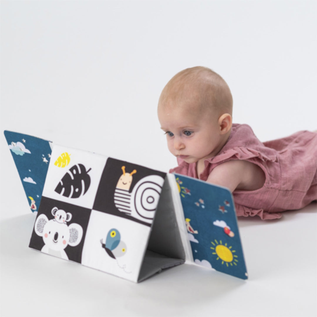 Taf Toys Tummy Time Mirror Book