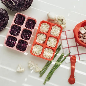 Marcus & Marcus Food Cube Tray (2oz X 6)