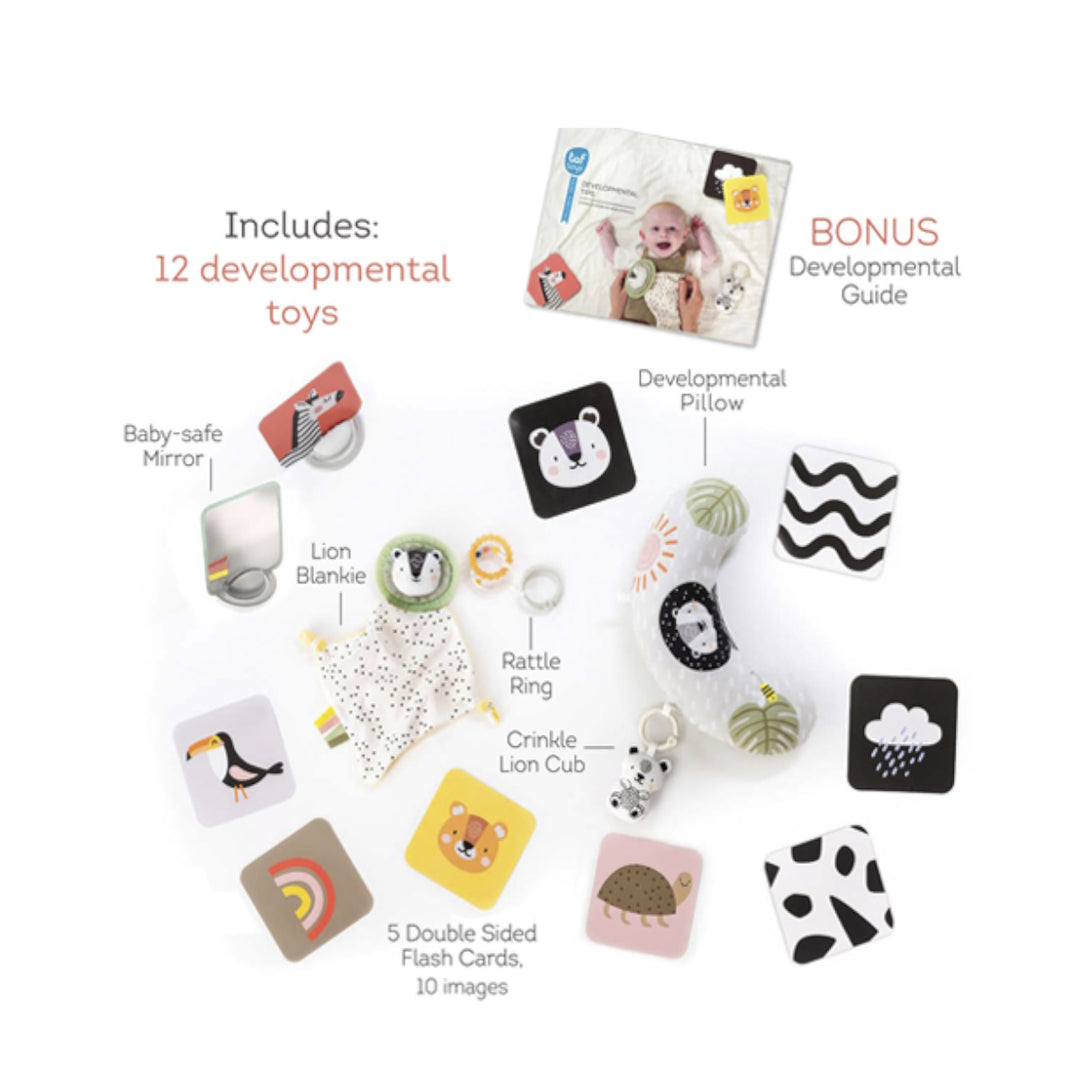 Taf Toys Newborn Develop N Play Kit