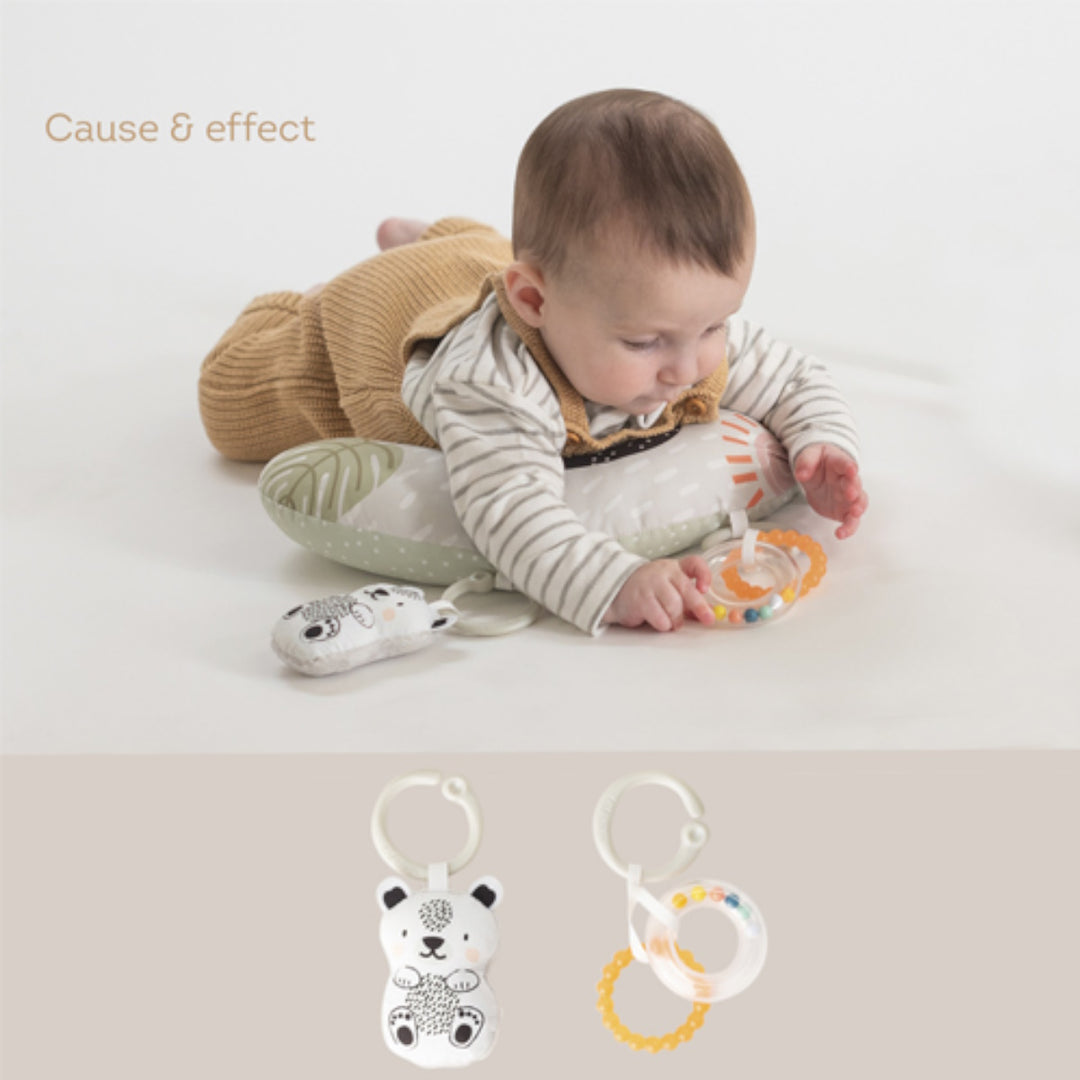 Taf Toys Newborn Develop N Play Kit