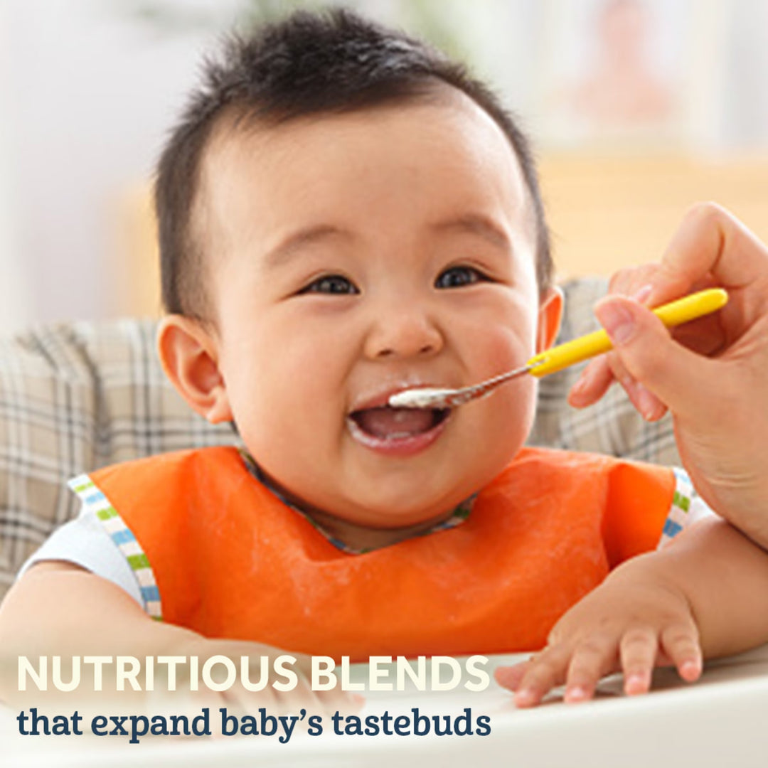 Gerber 1st Foods Organic Oatmeal Single Grain Cereal 227g