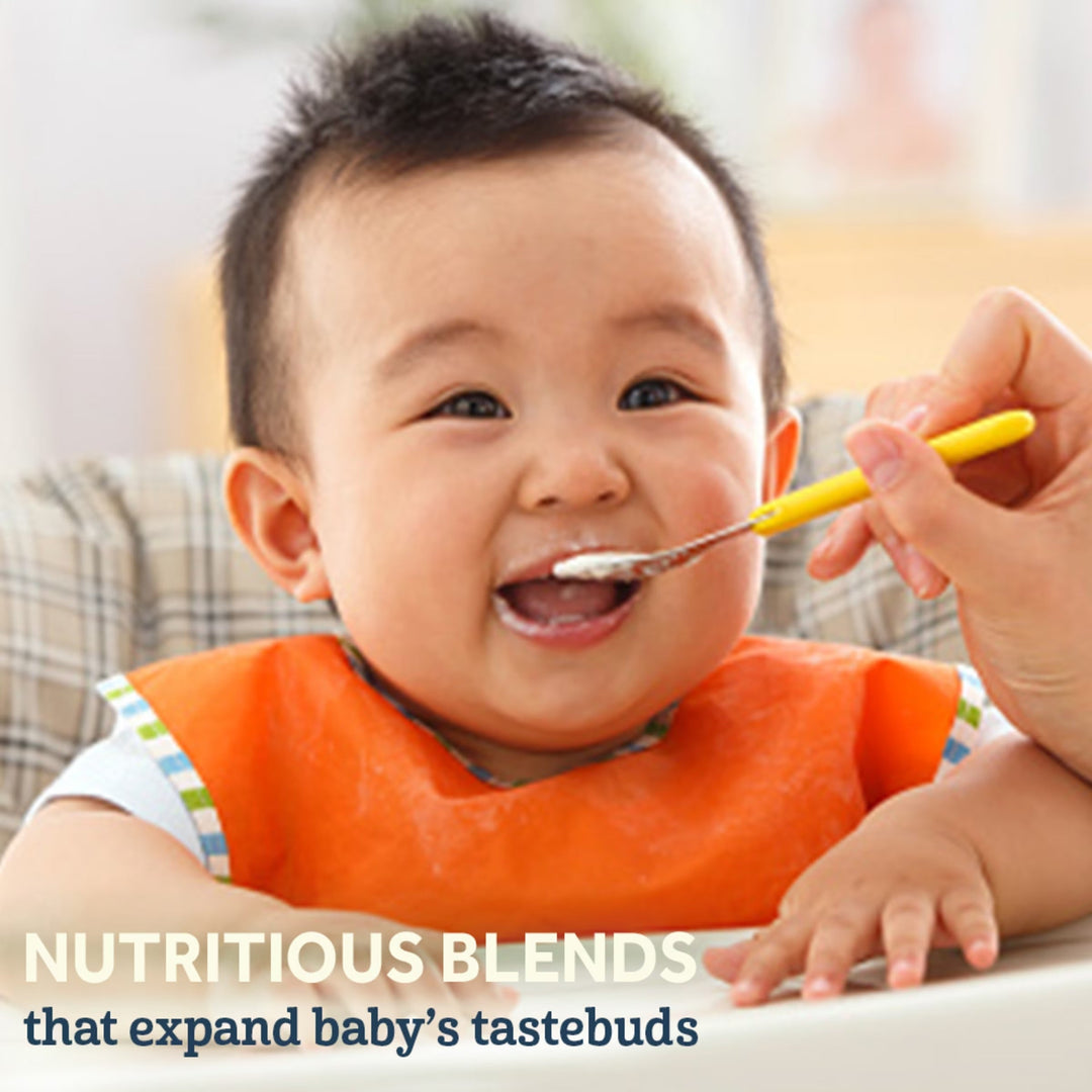 Gerber Probiotic Oatmeal, Lentil, Peach & Apples 227g