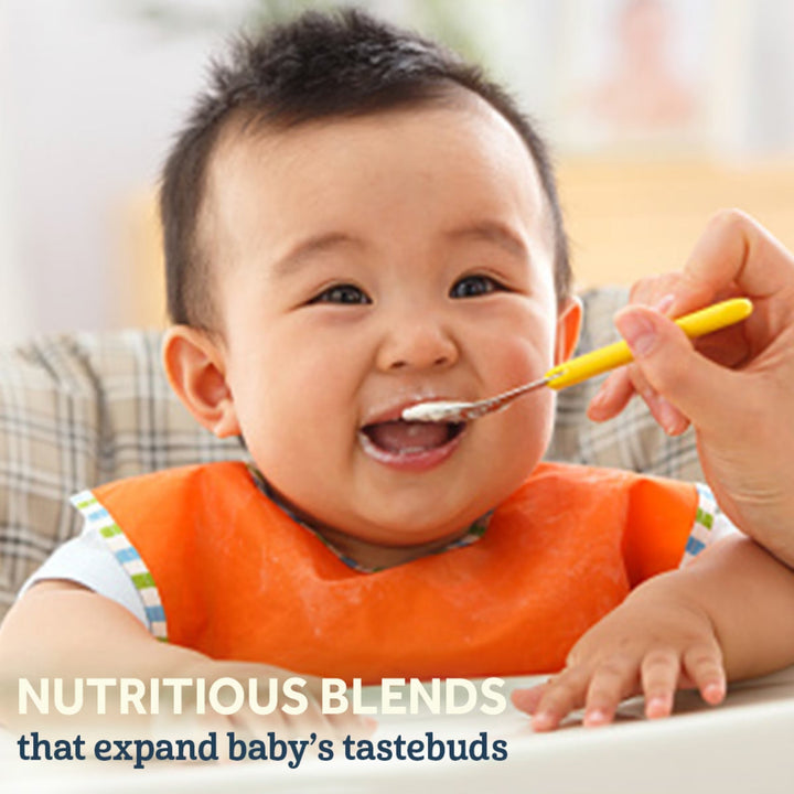 Gerber Probiotic Oatmeal, Lentil, Peach & Apples 227g