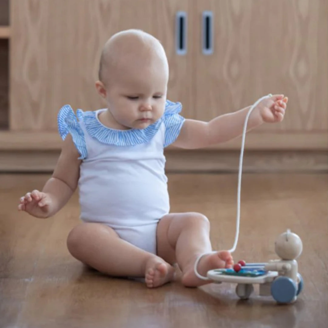Plan Toys Pull-Along Musical Bear