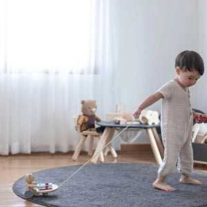 Plan Toys Pull-Along Musical Bear