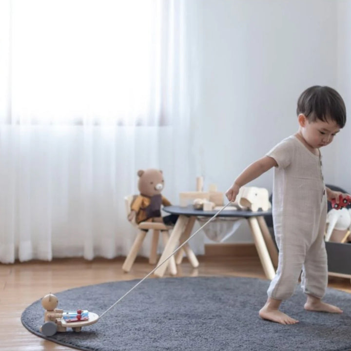 Plan Toys Pull-Along Musical Bear