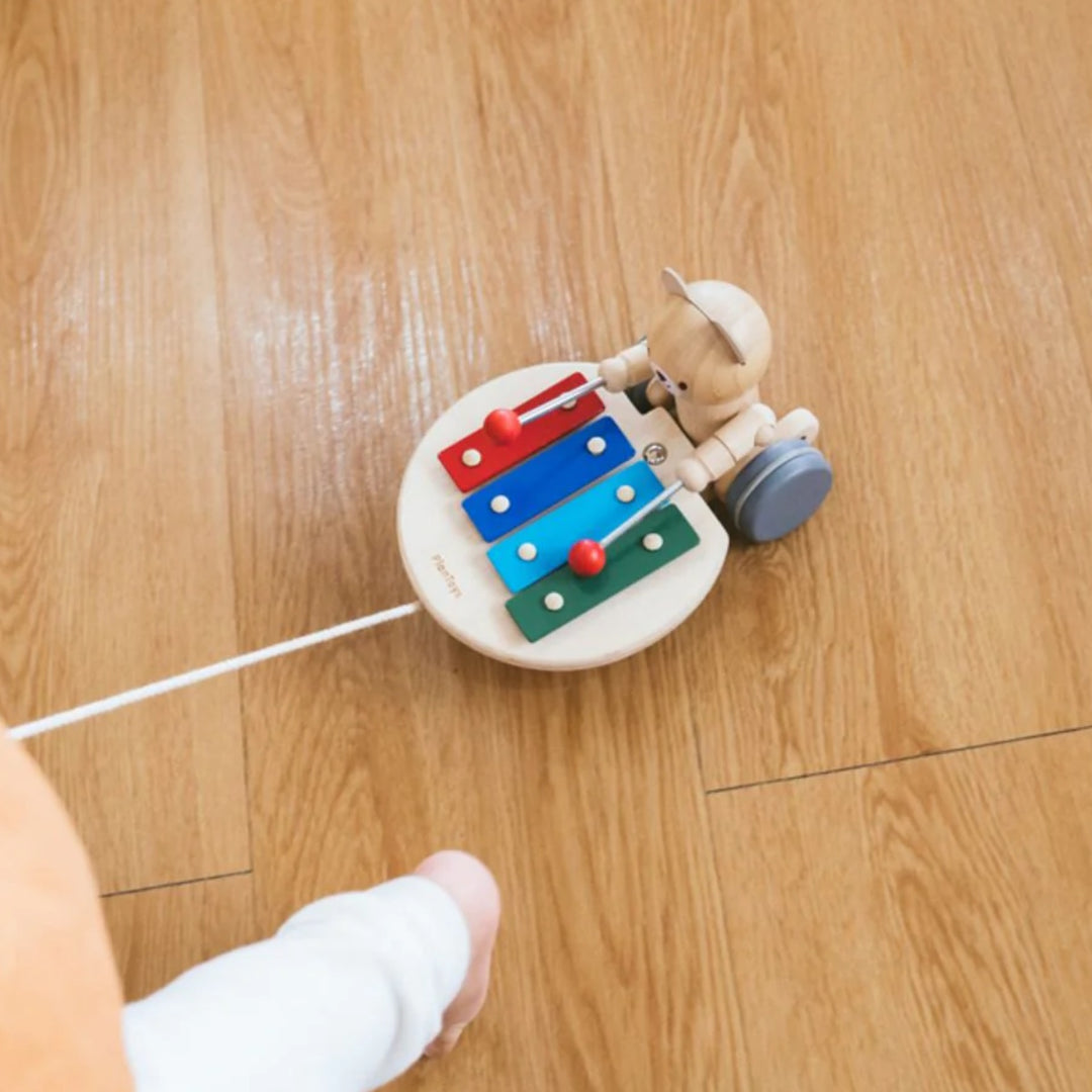 Plan Toys Pull-Along Musical Bear