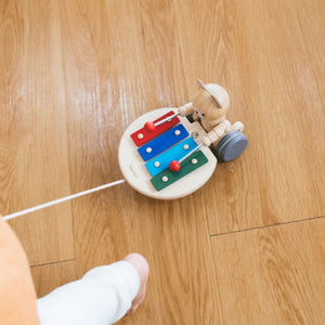 Plan Toys Pull-Along Musical Bear