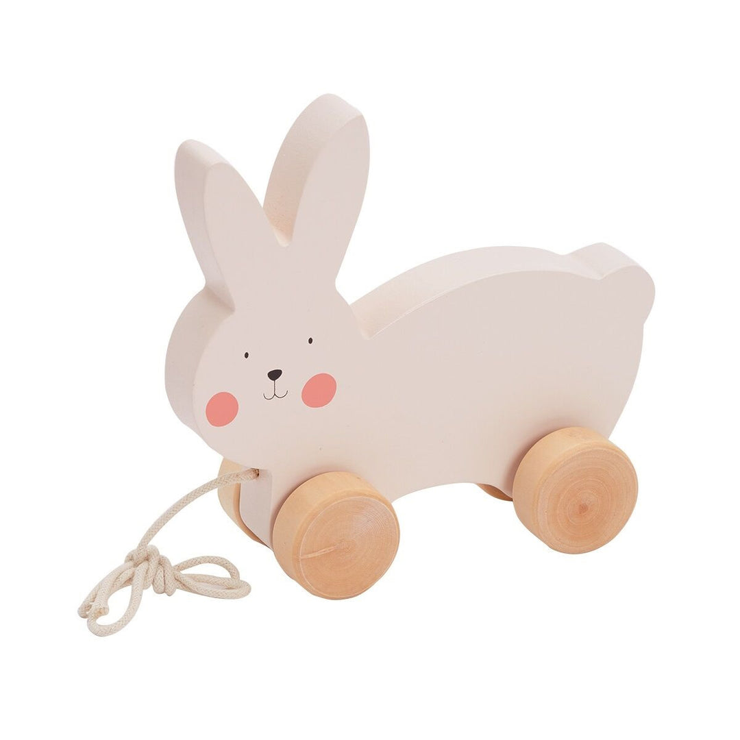 Bubble Wooden Rabbit Pull Along