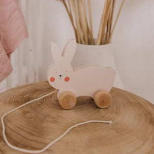 Bubble Wooden Rabbit Pull Along