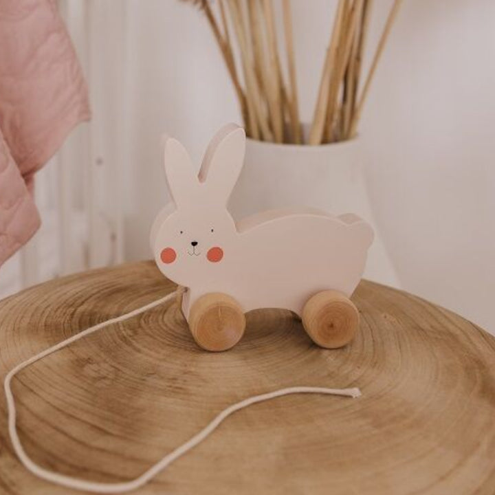 Bubble Wooden Rabbit Pull Along