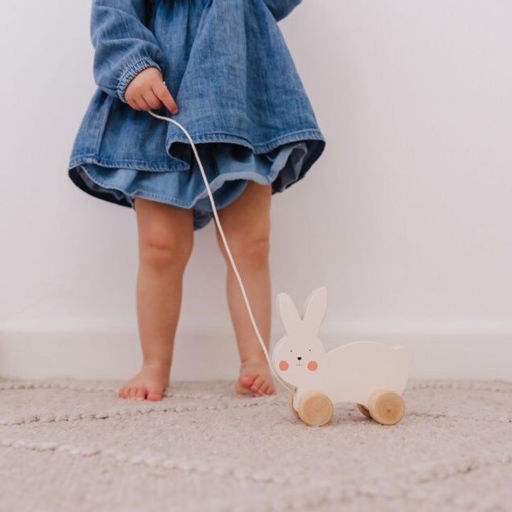 Bubble Wooden Rabbit Pull Along