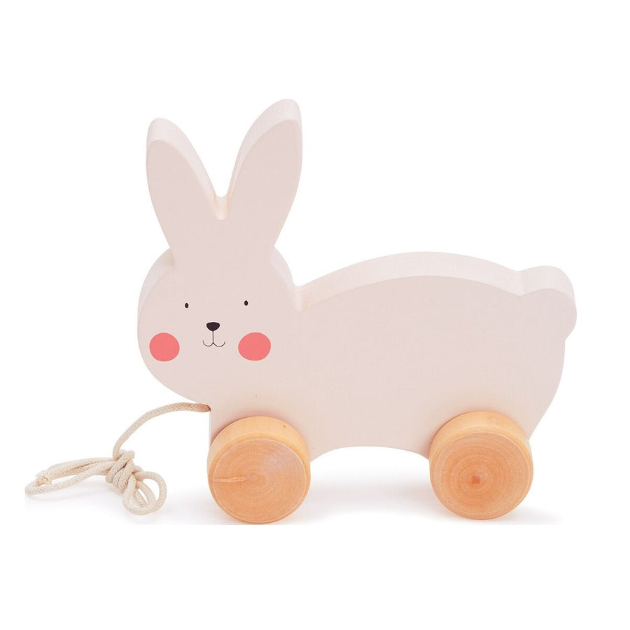 Bubble Wooden Rabbit Pull Along