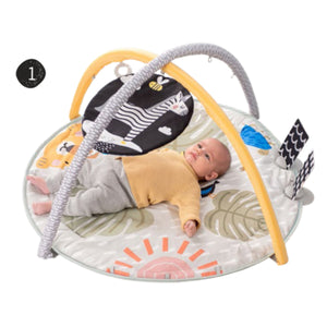 Taf Toys Savannah 360 Activity Gym