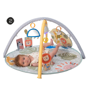 Taf Toys Savannah 360 Activity Gym