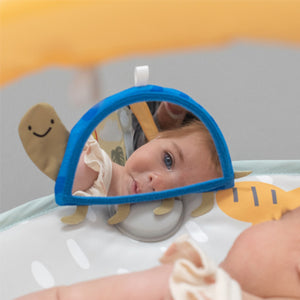 Taf Toys Savannah 360 Activity Gym