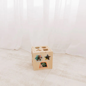 Bubble Wooden Shape Sorting Cube