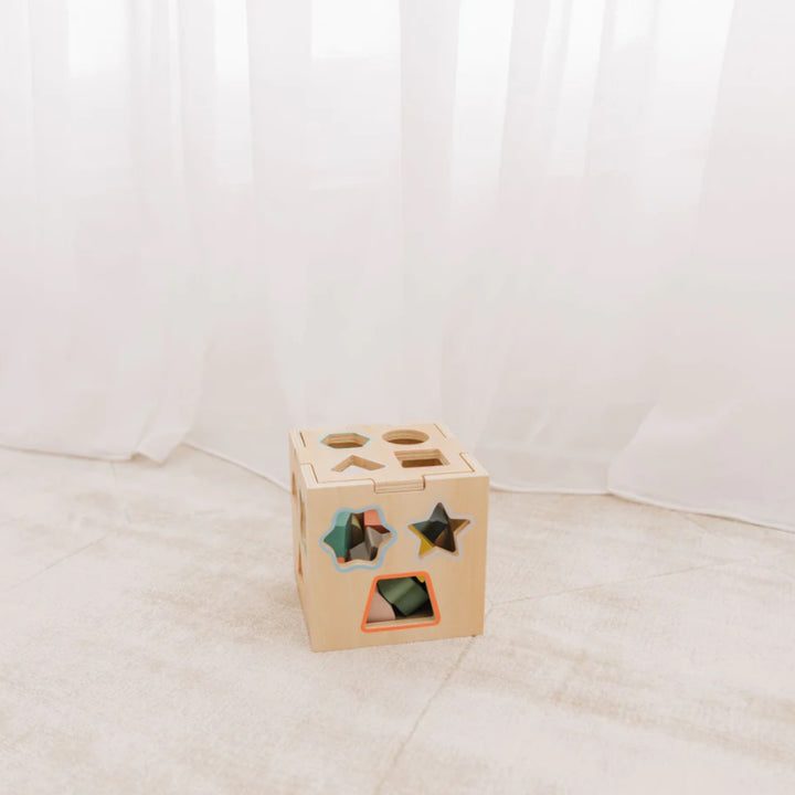 Bubble Wooden Shape Sorting Cube