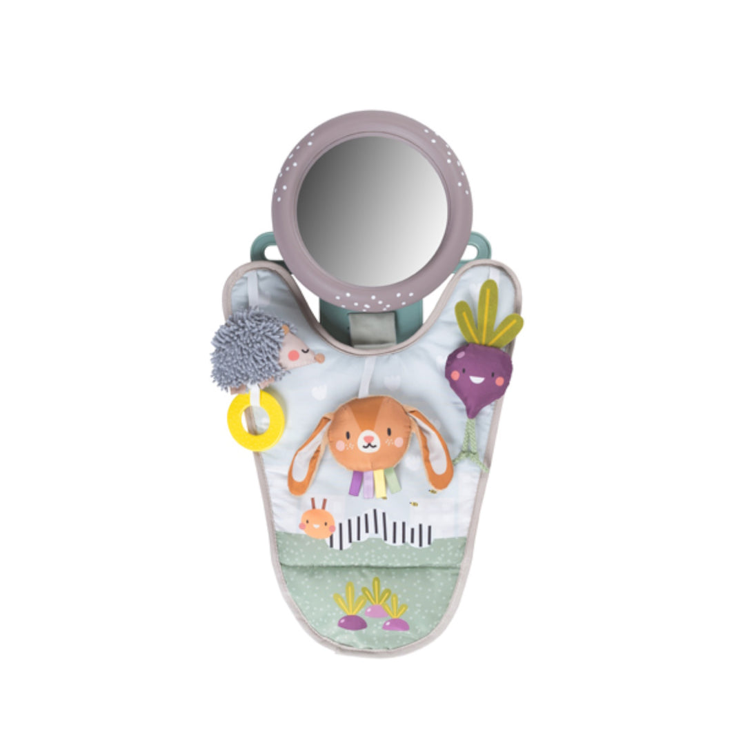 Taf Toys In Car Activity Center