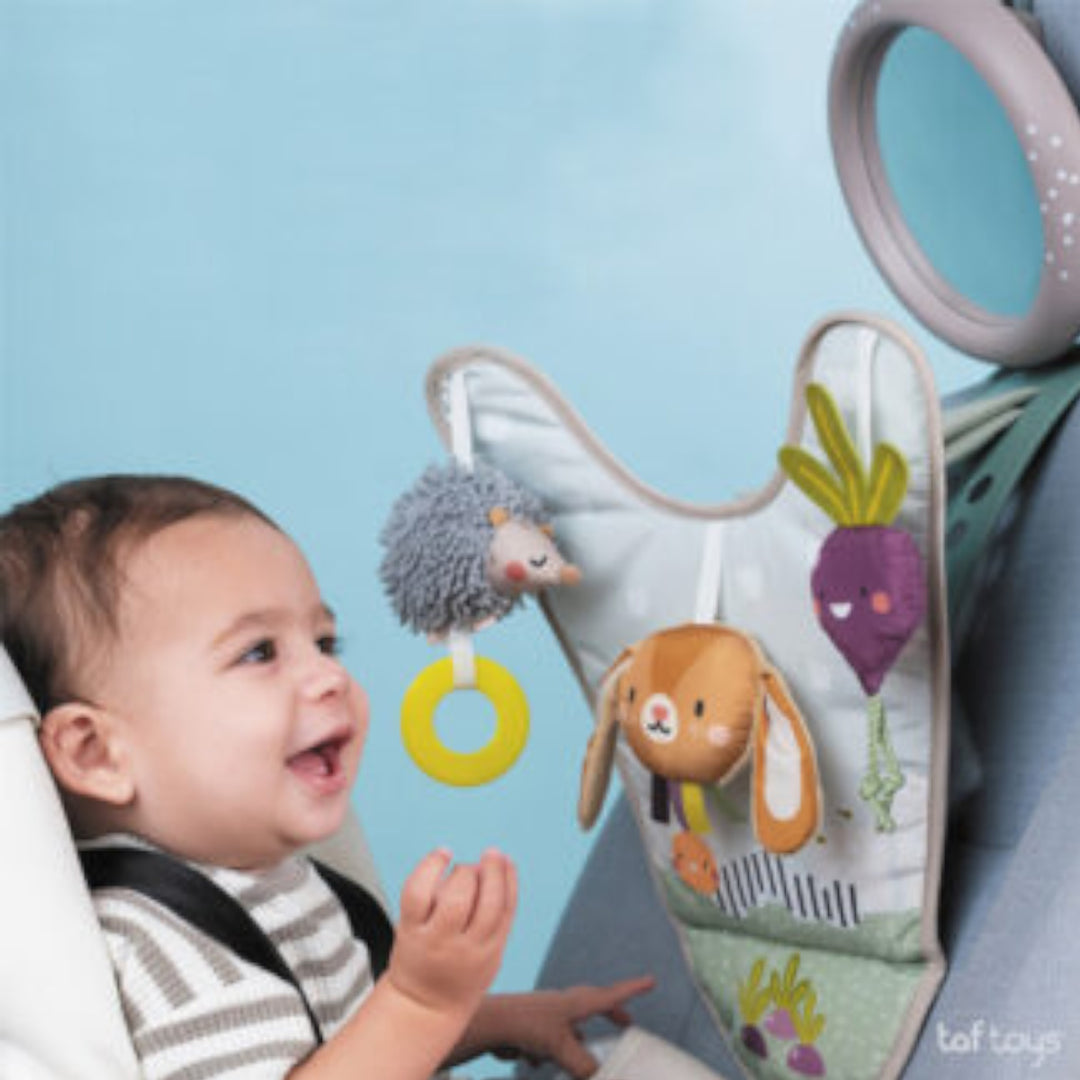 Taf Toys In Car Activity Center