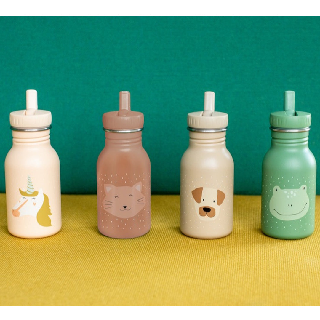 Trixie Bottle 350ml
