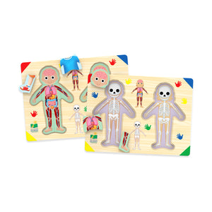 Inside of Me puzzle three layers separated: clothed body, organs and muscles, skeleton