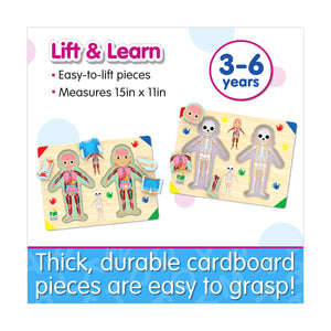 Inside of Me 28-piece three-layer human body puzzle