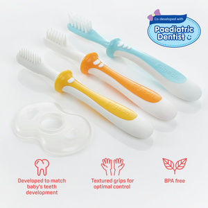 Pigeon Training Toothbrush Lesson 123 Set