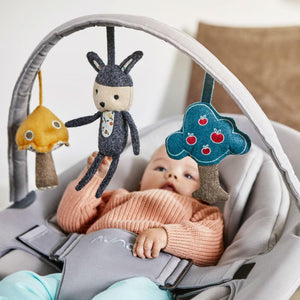 Nuna Leaf Toybar