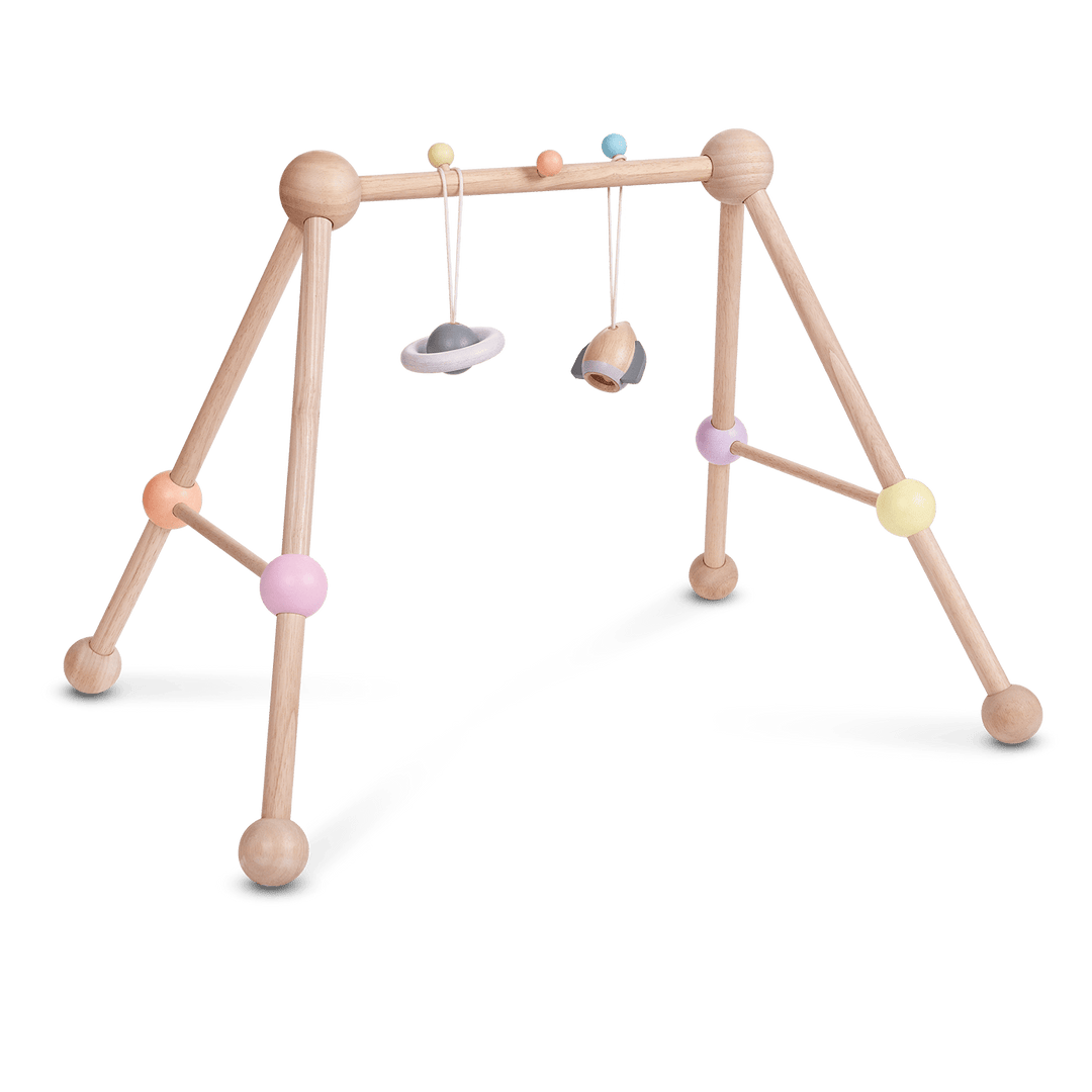 Plan Toys Play Gym