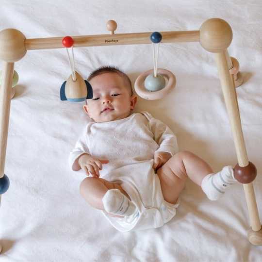 Plan Toys Play Gym