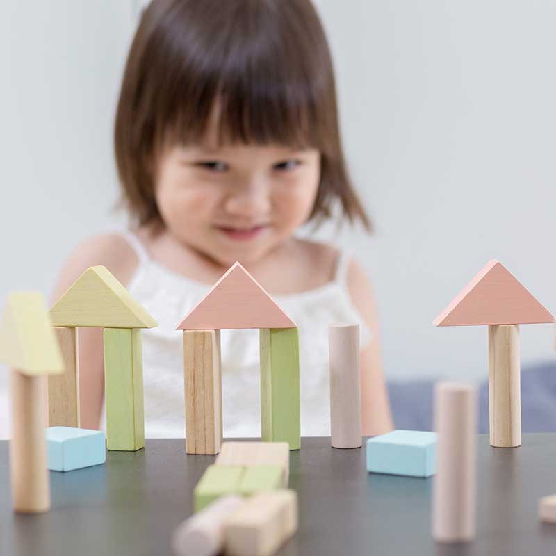 Plan Toys 40 unit Blocks