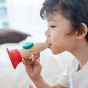 Plan Toys Kazoo