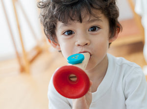 Plan Toys Kazoo