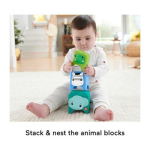 Fisher-Price Hello Senses Play Kit Panda Activity Toy 6m+