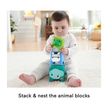 Fisher-Price Hello Senses Play Kit Panda Activity Toy 6m+