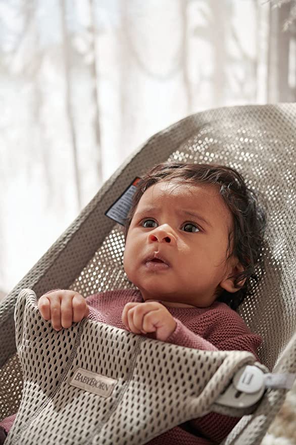 BabyBjörn Bouncer Bliss Mesh with Light Grey Frame