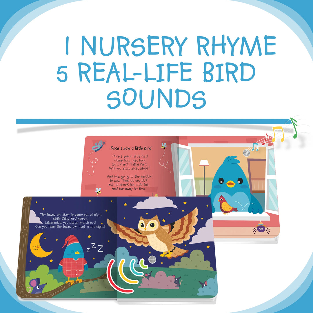 Ditty Bird Bird Songs