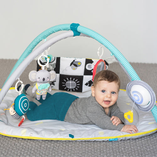 Taf Toys Easier Development All Around Me Gym